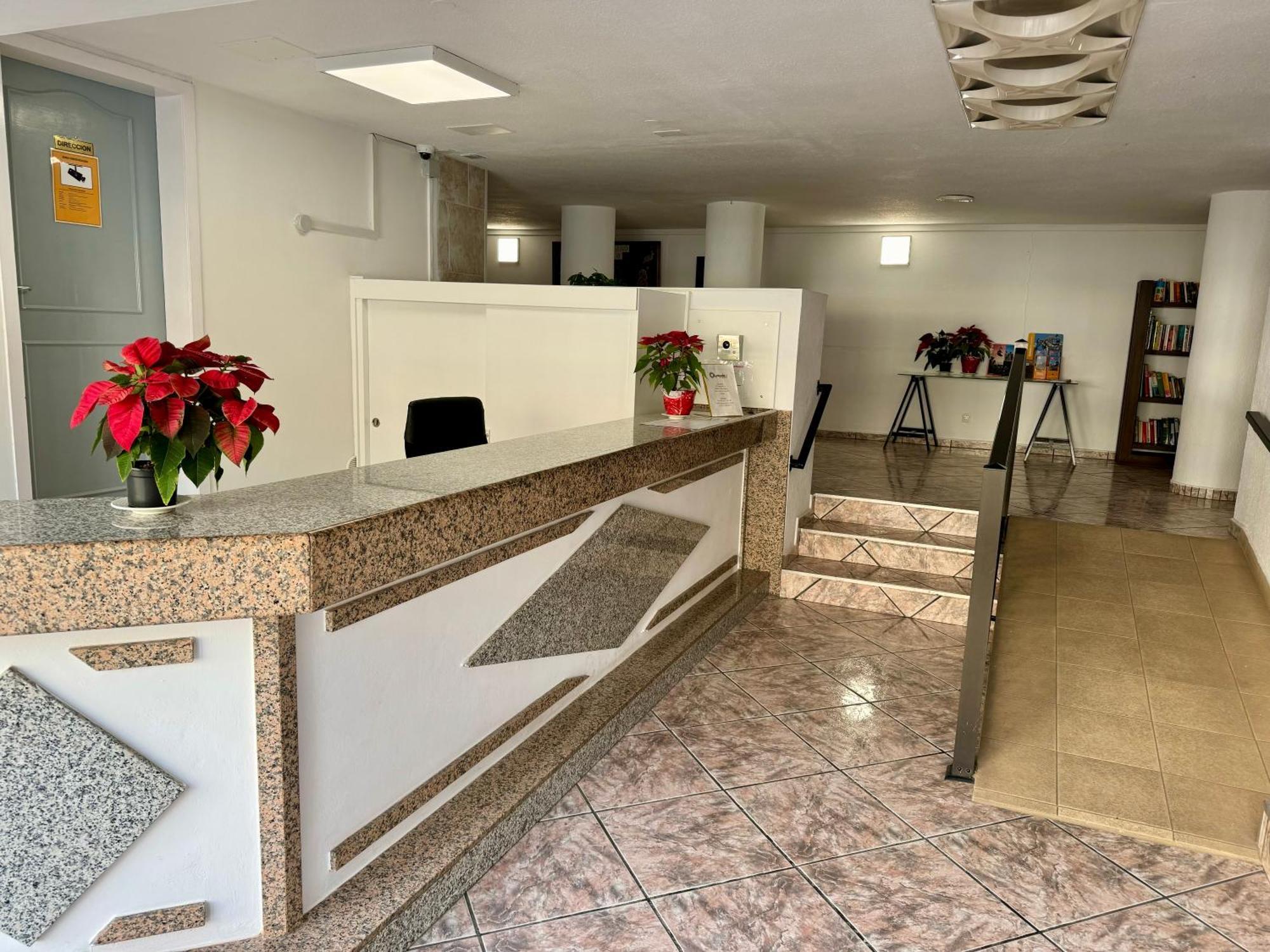 Olympia Palmalicious Apartment بلايا ذي لاس أميريكاس المظهر الخارجي الصورة